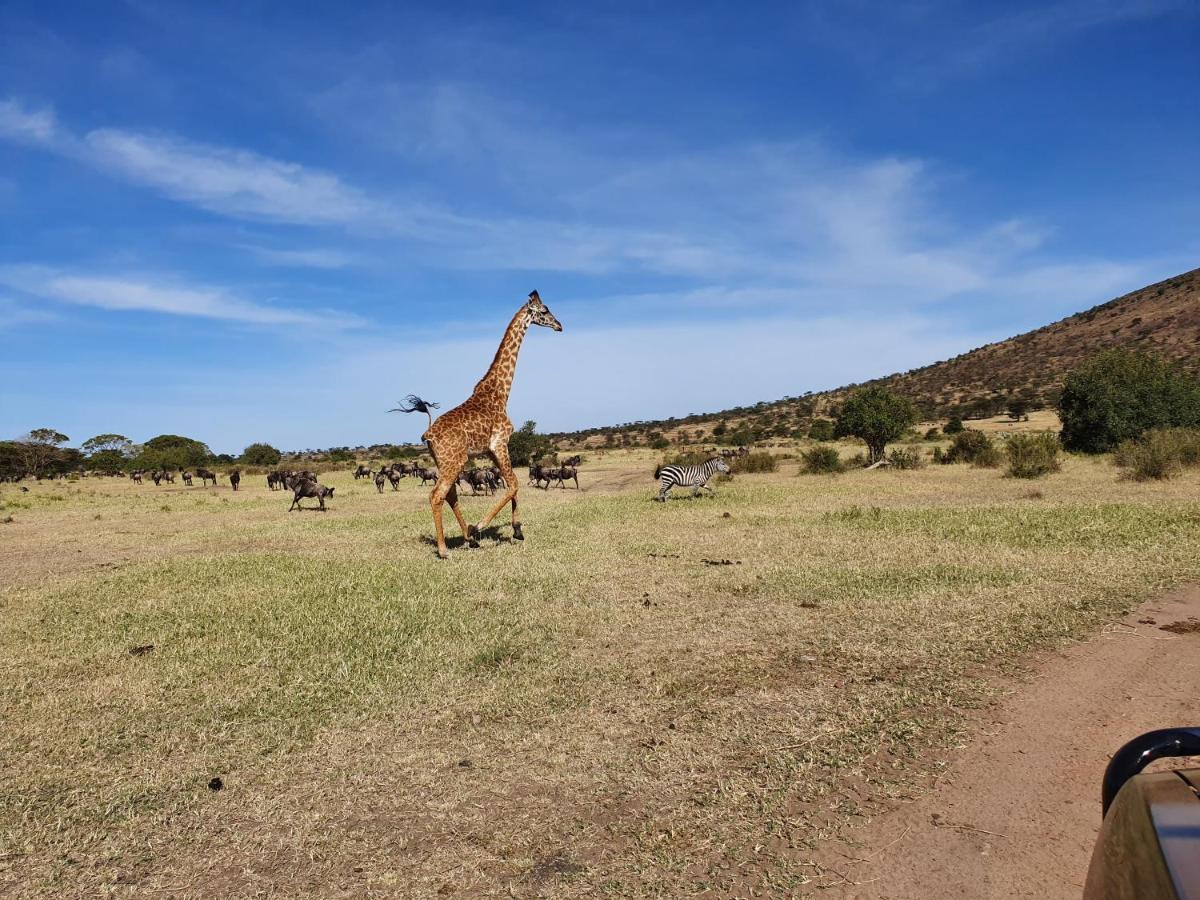 Africa Safari Lake Natron Mtowabaga 외부 사진