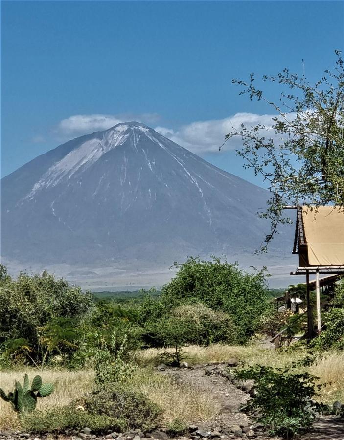 Africa Safari Lake Natron Mtowabaga 외부 사진