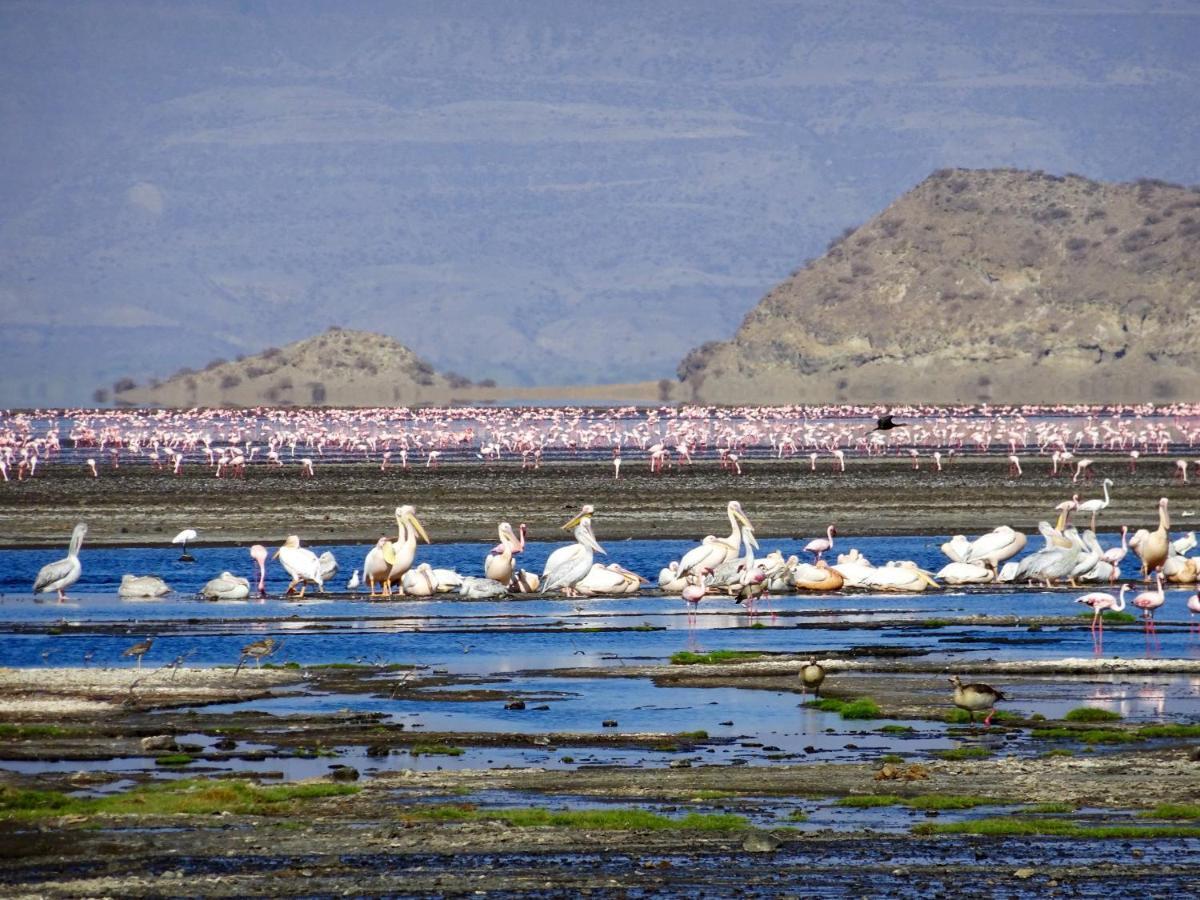 Africa Safari Lake Natron Mtowabaga 외부 사진